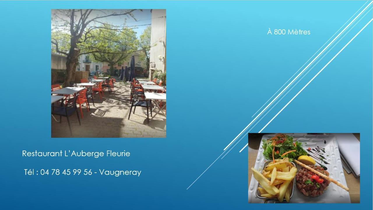Bel Appartement T2 40 M² Vaugneray Dış mekan fotoğraf